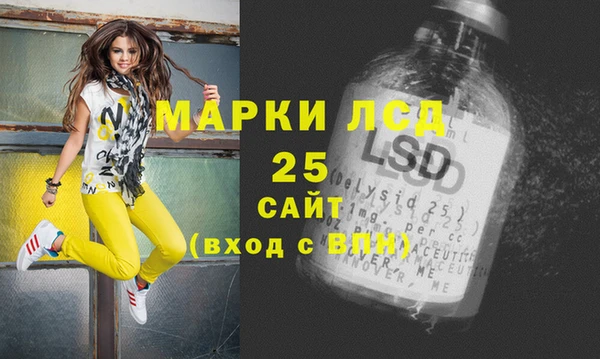 apvp Алексин
