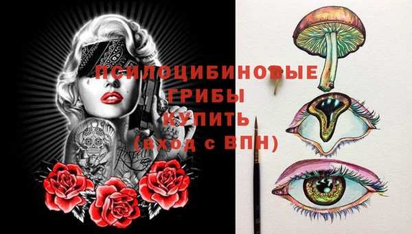 амф Алзамай