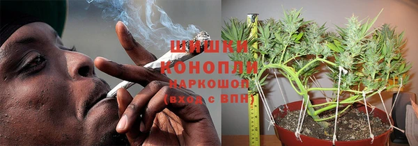 амф Алзамай